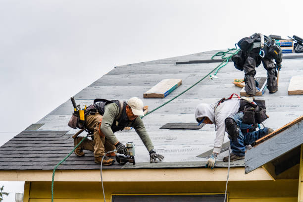 Professional Storm Damage Roof Repair technician working in Bradford, IA